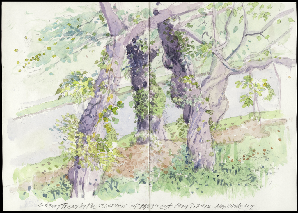 Cherry Trees (Resevoir) | New York Central Park Paintings | John Thompson Paintings