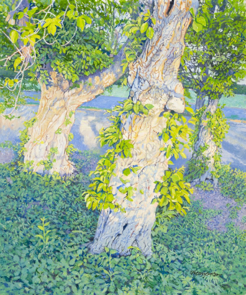 Cherry Trees | New York Central Park Paintings | John Thompson Paintings