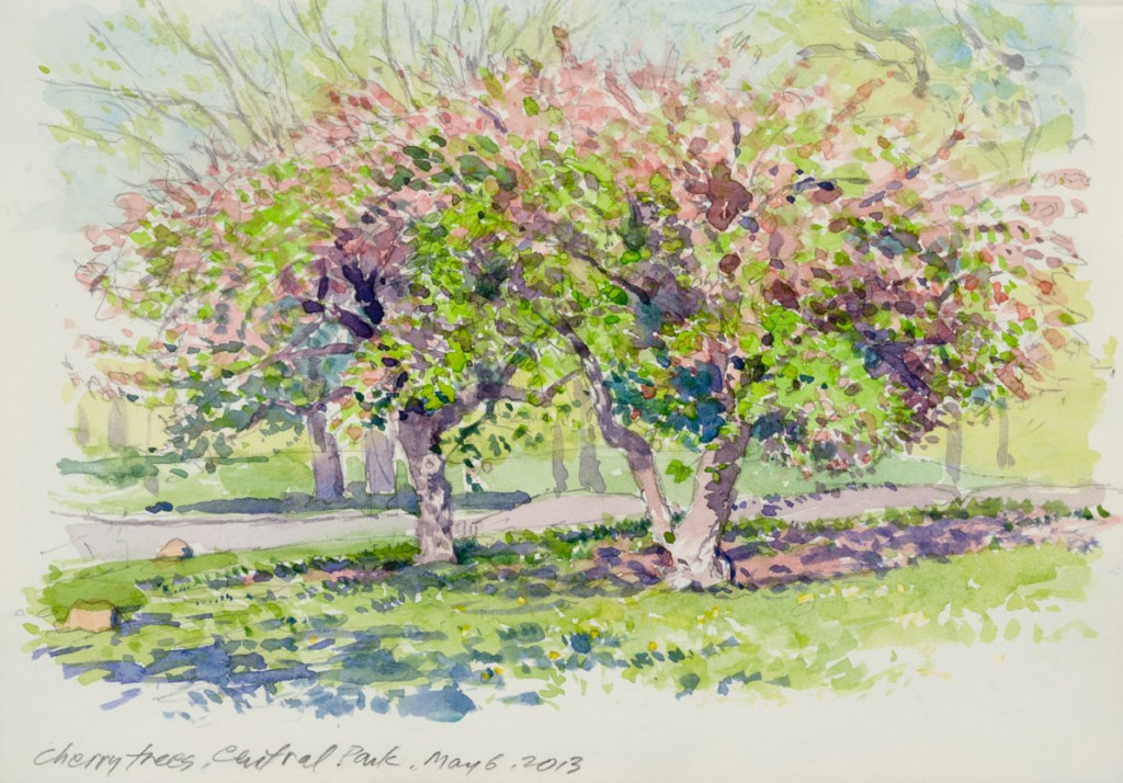 Cherry Trees | New York Central Park Paintings | John Thompson Paintings