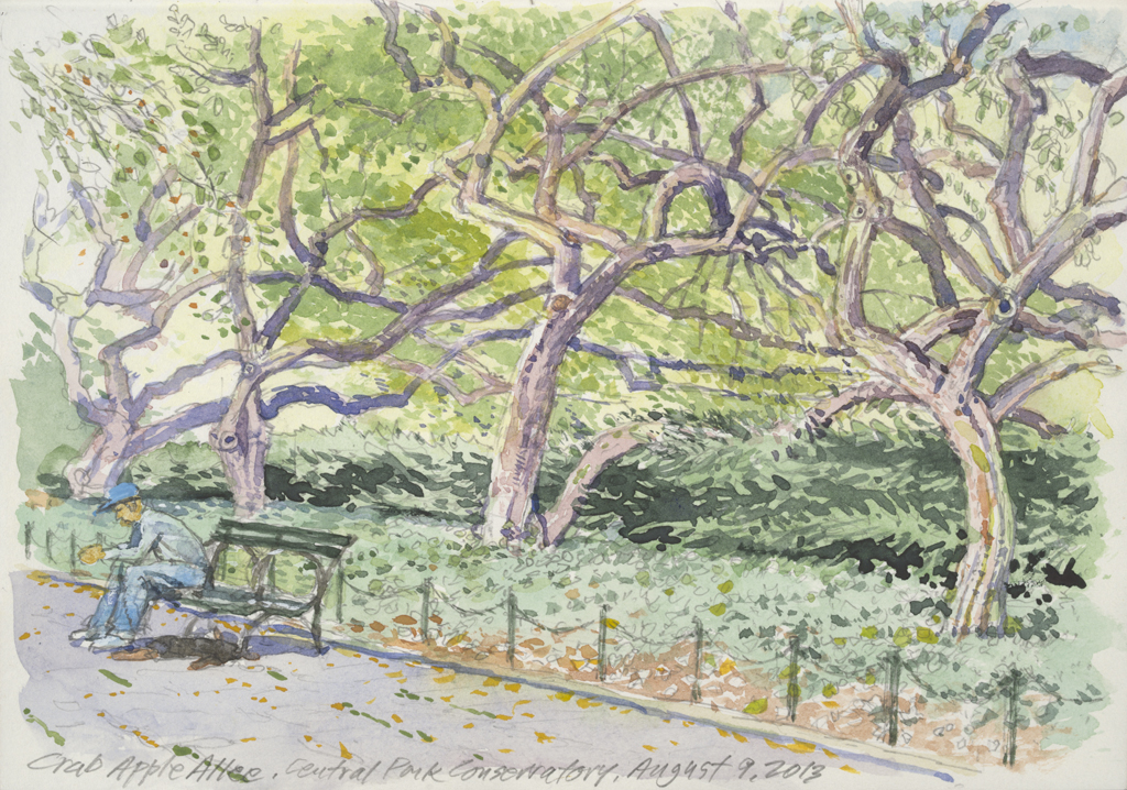 Crab Apple Tree | New York Central Park Paintings | John Thompson Paintings