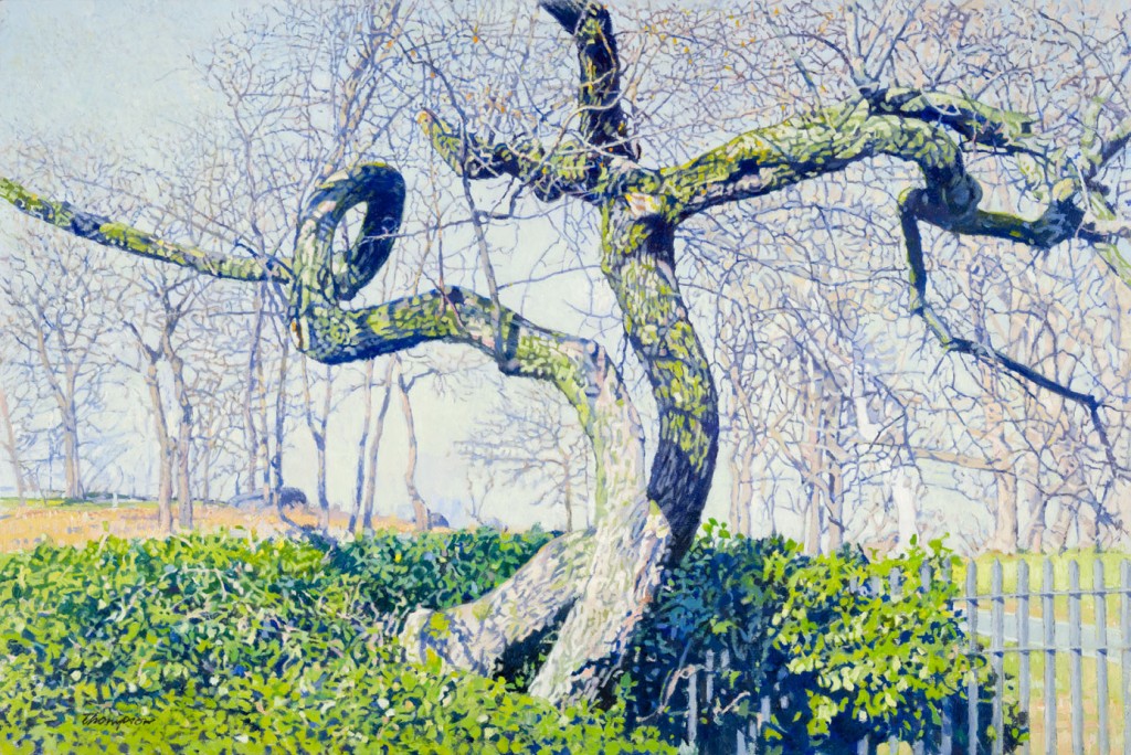 Crab Apple Tree | New York Central Park Paintings | John Thompson Paintings