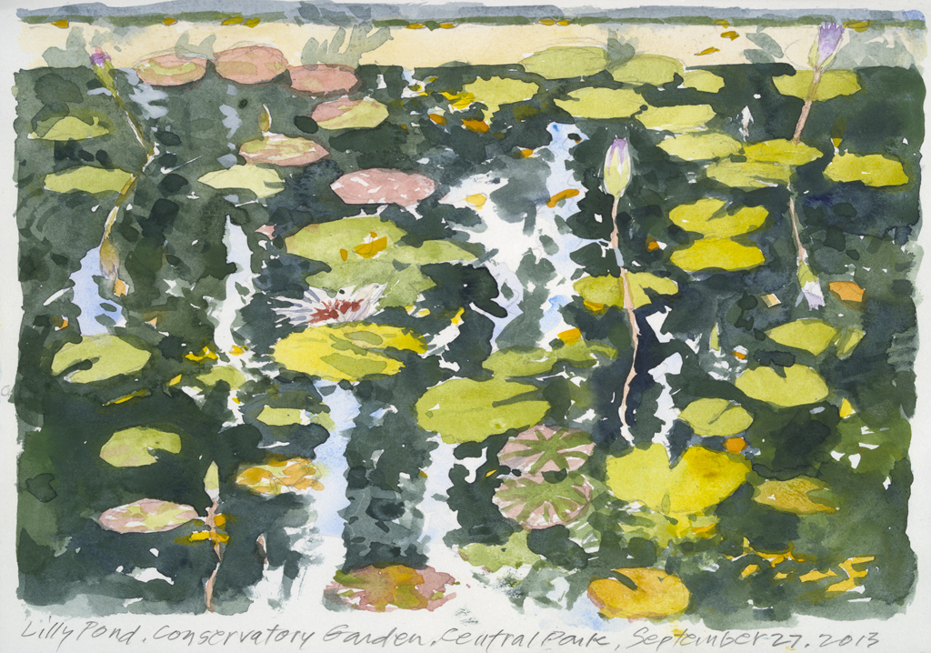 Lily Pond AM | New York Central Park Paintings | John Thompson Paintings