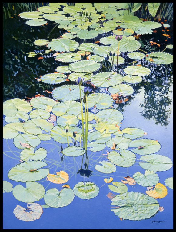 Lily Pond I | New York Central Park Paintings | John Thompson Paintings