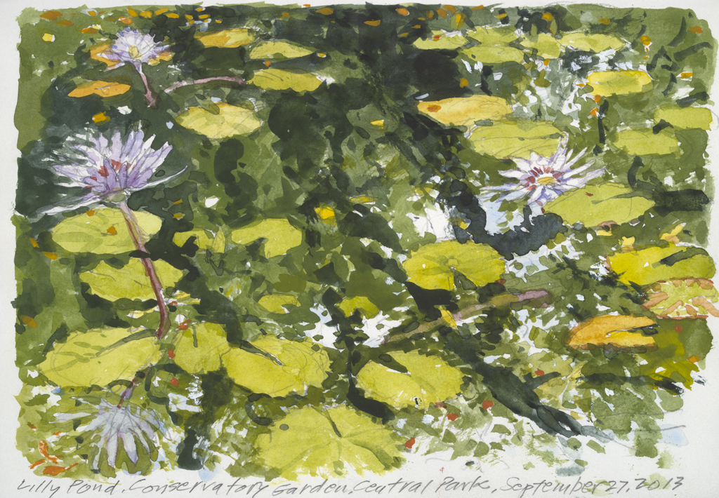Lily Pond PM | New York Central Park Paintings | John Thompson Paintings