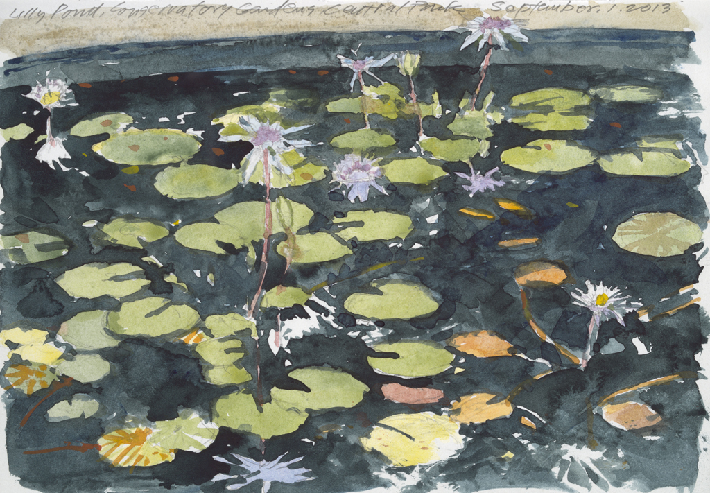 Lily Pond | New York Central Park Paintings | John Thompson Paintings