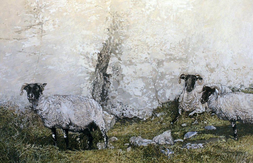 Rocks and Sheep | Ireland Paintings | John Thompson Paintings