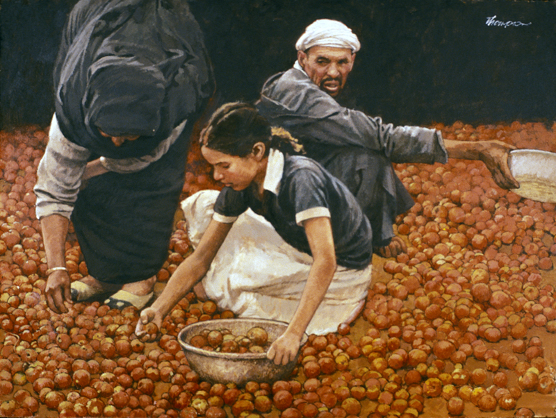 Tomatoes | Morocco Paintings | John Thompson Paintings